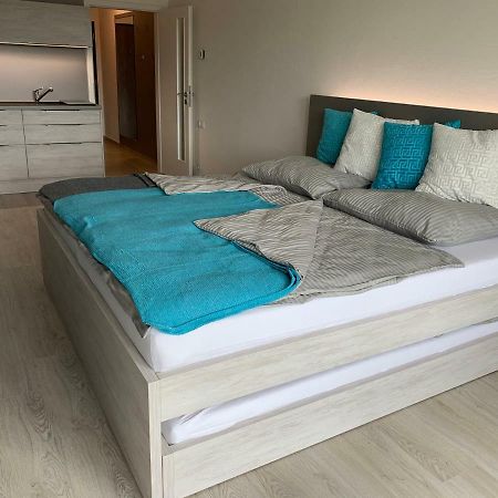Apartman Denisa Lipno nad Vltavou Extérieur photo