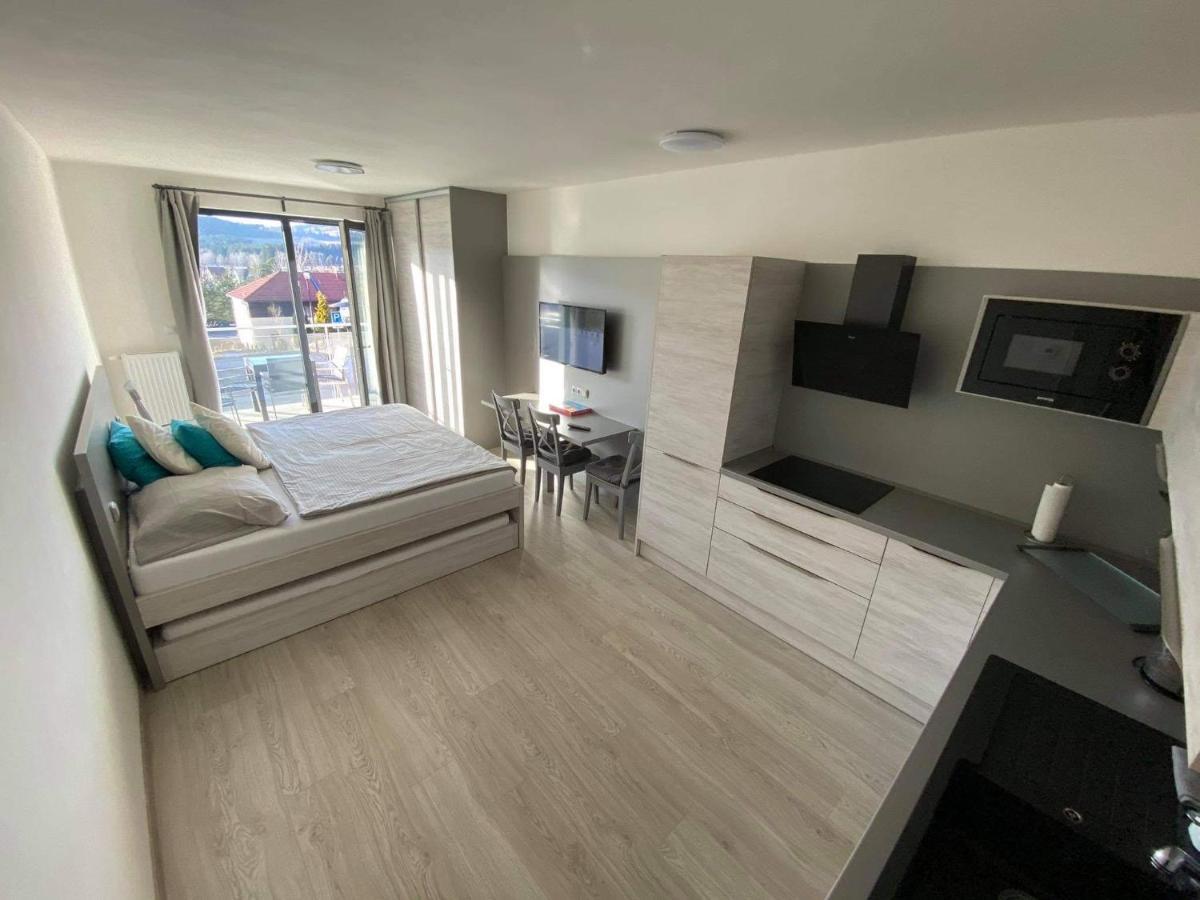 Apartman Denisa Lipno nad Vltavou Extérieur photo