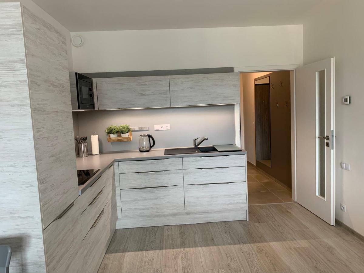 Apartman Denisa Lipno nad Vltavou Extérieur photo